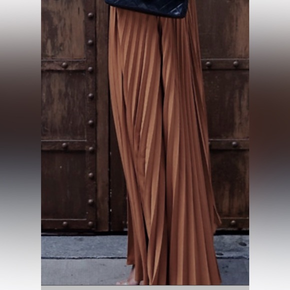 Zara Boho Pleated Maxi Skirt - Picture 9 of 11